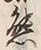 文字熊