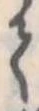 𛁳 위치 확인됨