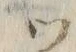 “カ”字