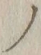 字ノ