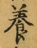Chữ 養