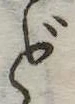 ど 위치 확인됨