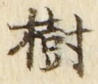 글자 樹
