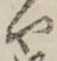 𡨸や