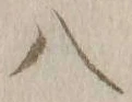 字八