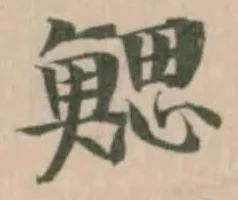 Located 鰓