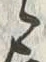 字之