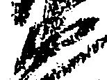 Đã định vị 衛