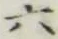 글자 六