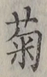 글자 菊
