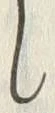 文字帯
