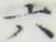 Character 六