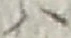 字ハ