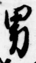 位置定マレル男