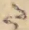 Đã định vị 𛁠
