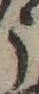 미지정 위치 확인됨