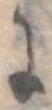 位置 確認된 𛂌