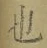 𡨸也