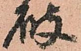 已定位破