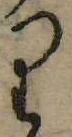 𛃶 위치 확인됨
