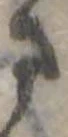 さ 위치 확인됨
