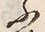 字ふ