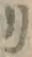 字リ
