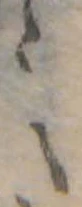 之 위치 확인됨