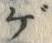 文字ゲ