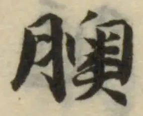 Located 䐿