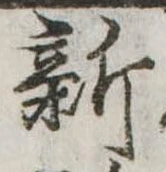 位置定マレル新