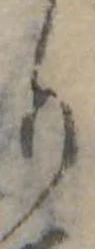 Đã định vị り