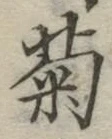 글자 菊