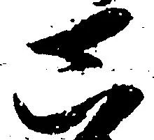 位置 確認된 真