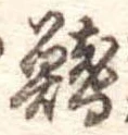 鰭 위치 확인됨