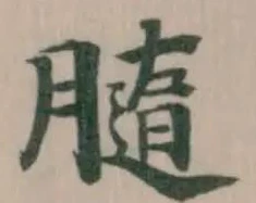 已定位膸