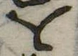 𛄜 위치 확인됨