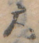 大 위치 확인됨