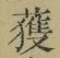 글자 獲