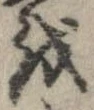 位置 確認된 𛄚