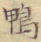 글자 鴨