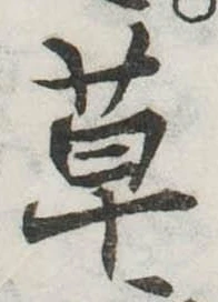 位置定マレル草