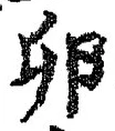 文字 卵