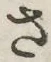 글자 さ