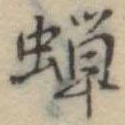 蝉 위치 확인됨