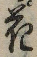 花，已得其位