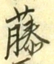 글자 藤
