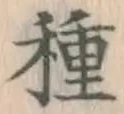 글자 種