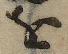 已定位𛄜