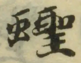 Đã định vị 蟶